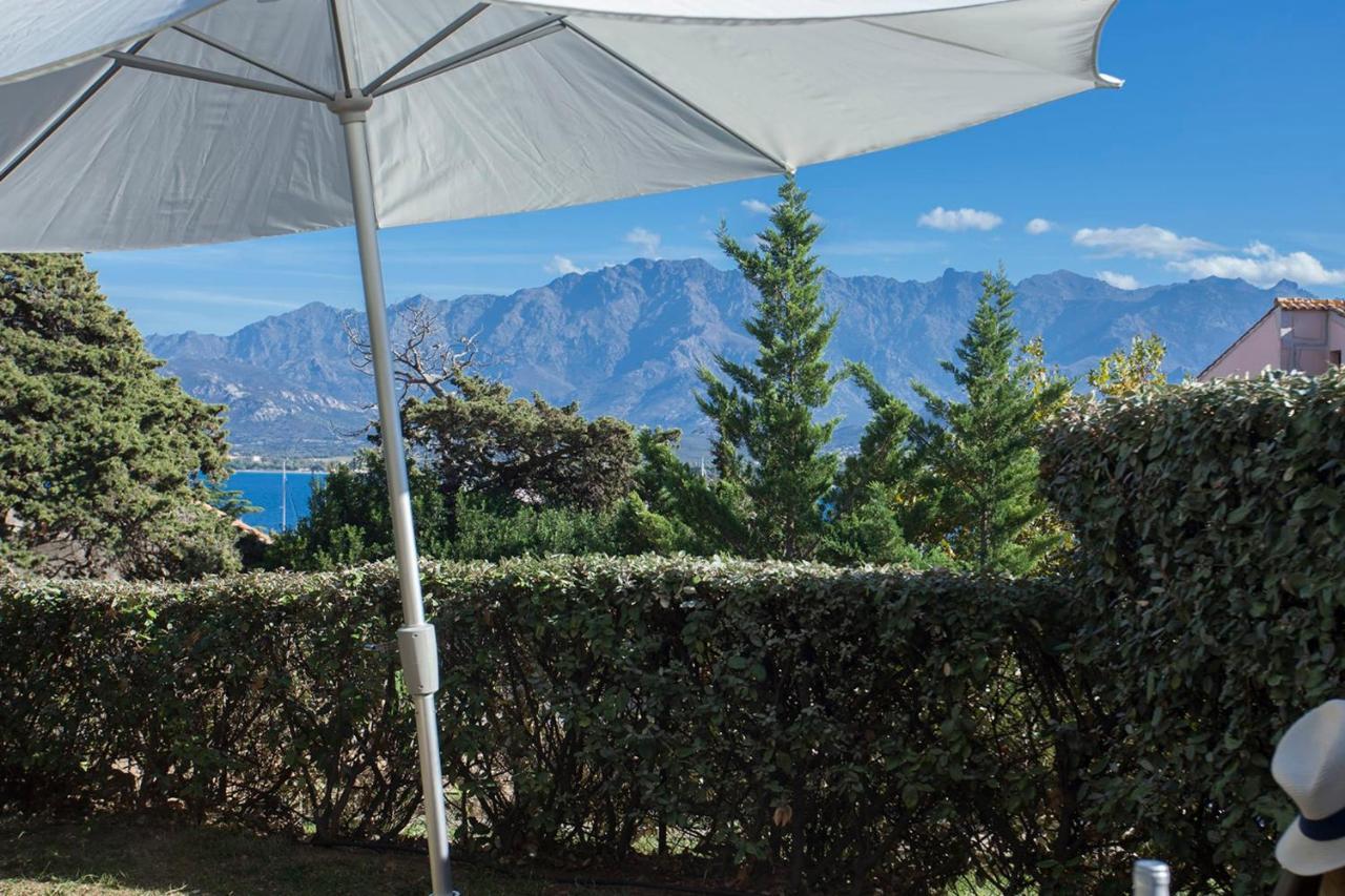 Mare Appart Avec Jardin Et Bbq Vue Mer Et Montagne Plage Et Port A 2 Pas Calvi  Eksteriør billede